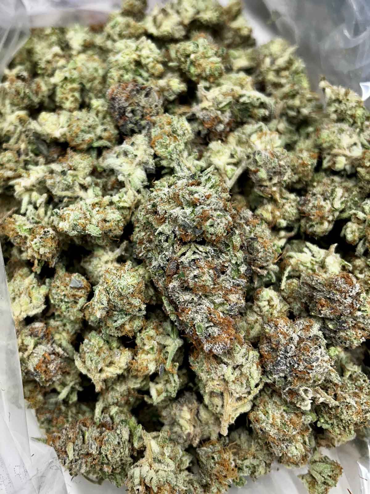 Pineapple Kush Northeast Growing Company