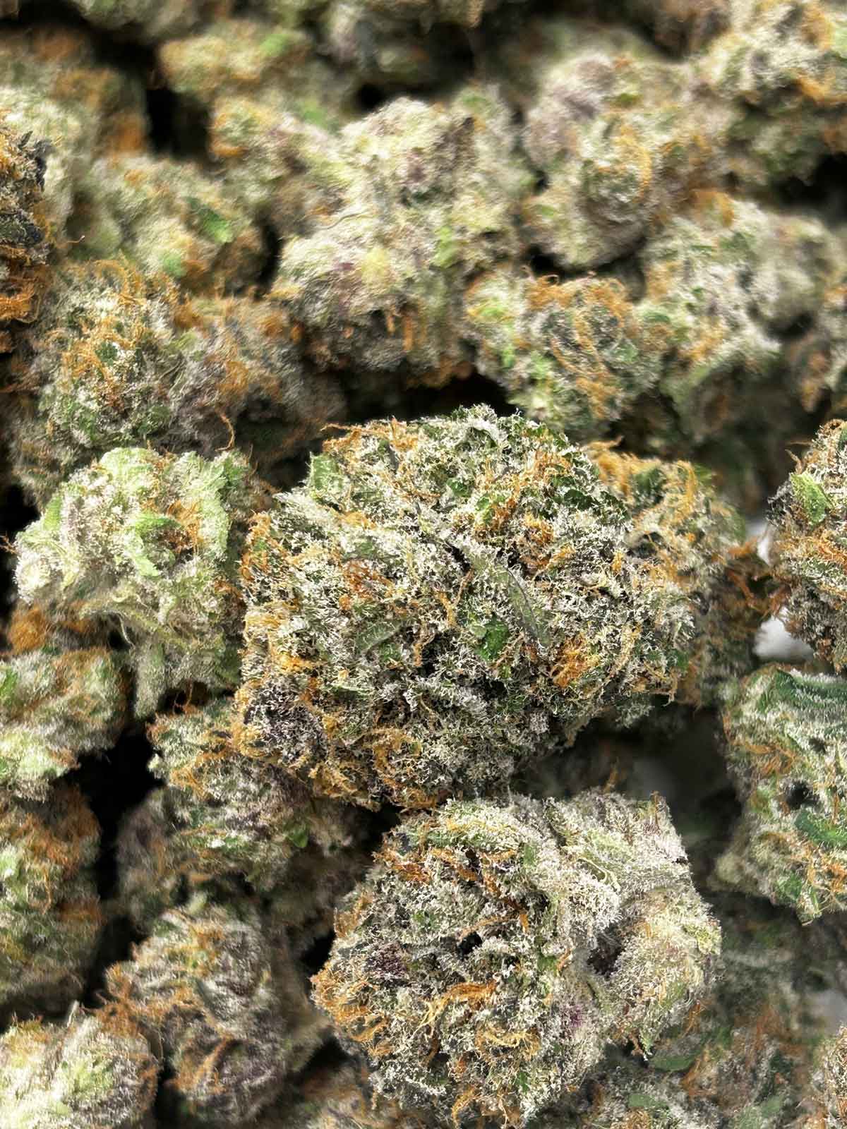 Purple Pineapple Punch Northeast Growing Company Purple Pineapple Punch Northeast Growing Company