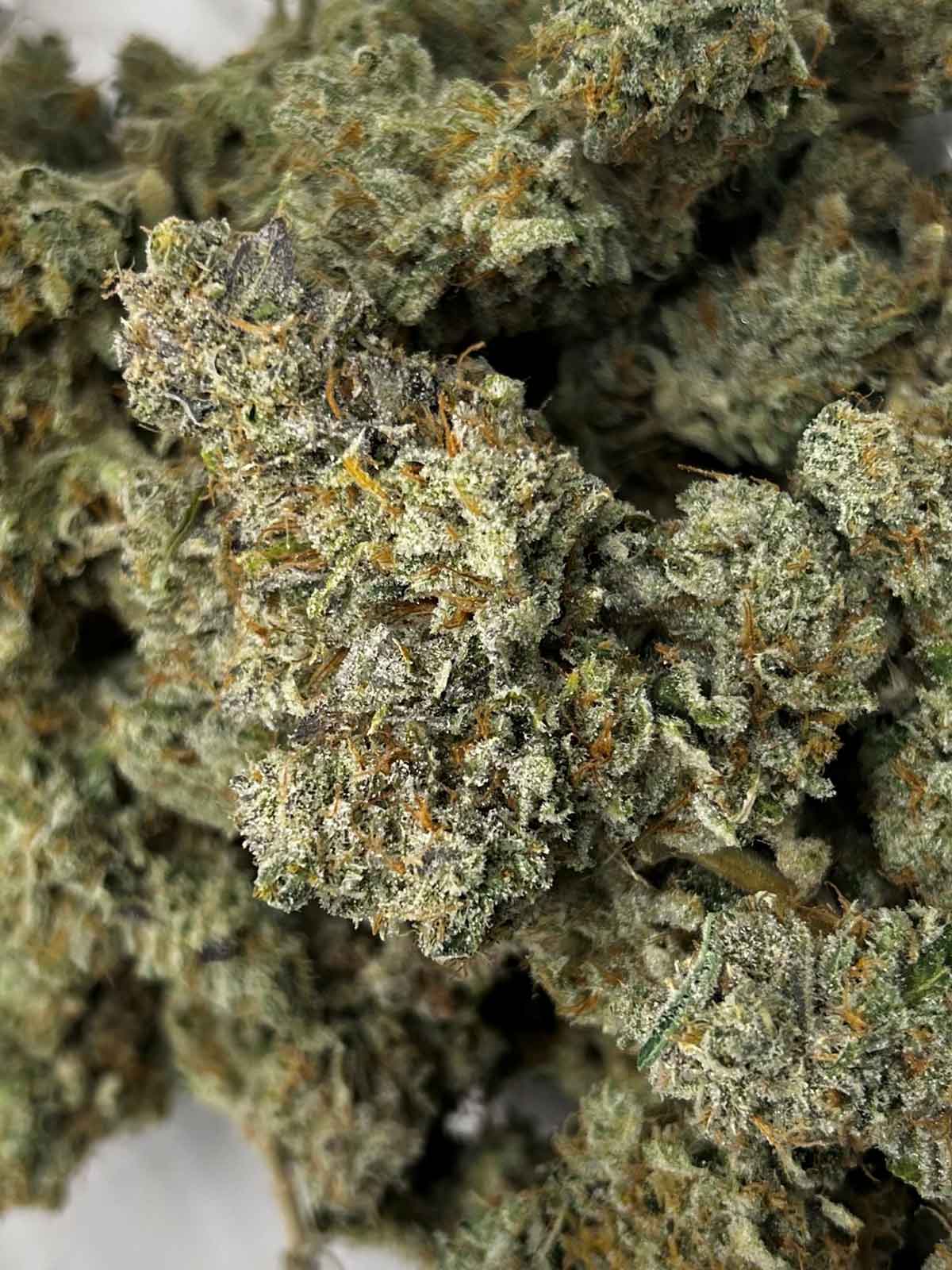 The Bling Northeast Growing Company